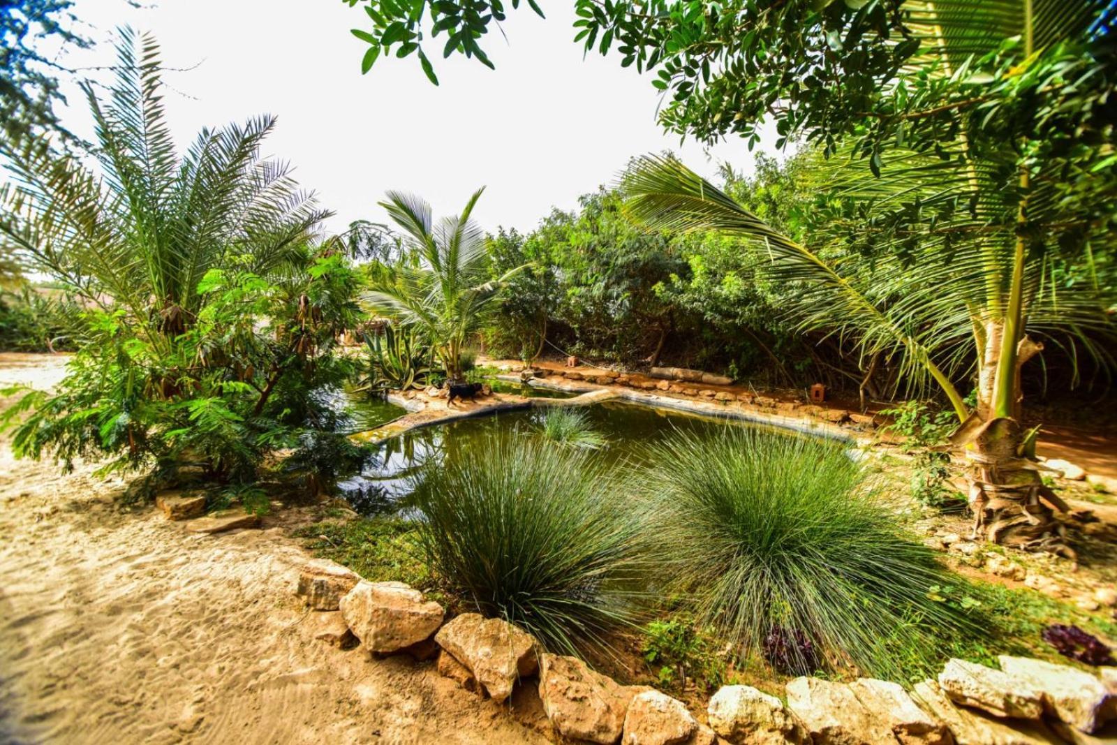 Dar Tawarta Guest House ダフラ エクステリア 写真