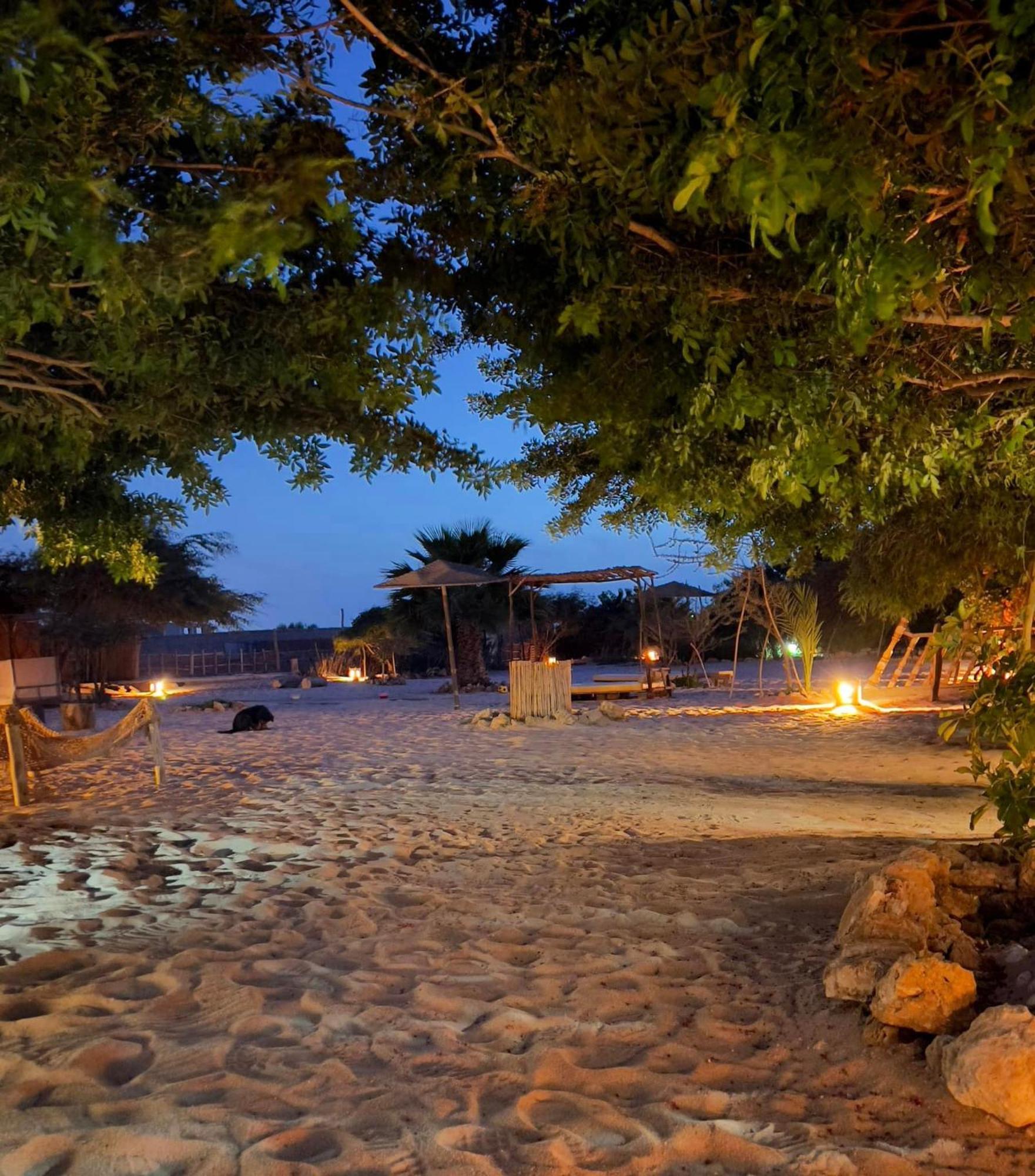 Dar Tawarta Guest House ダフラ エクステリア 写真