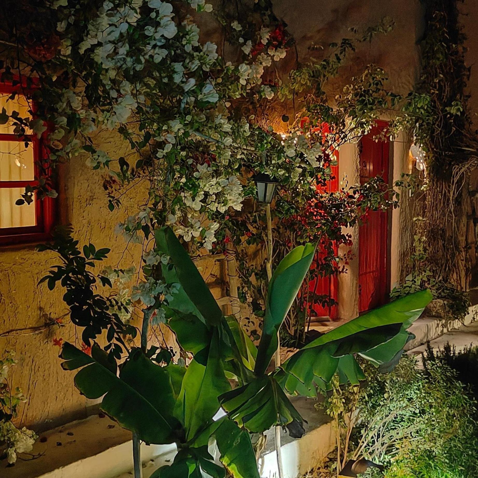 Dar Tawarta Guest House ダフラ エクステリア 写真