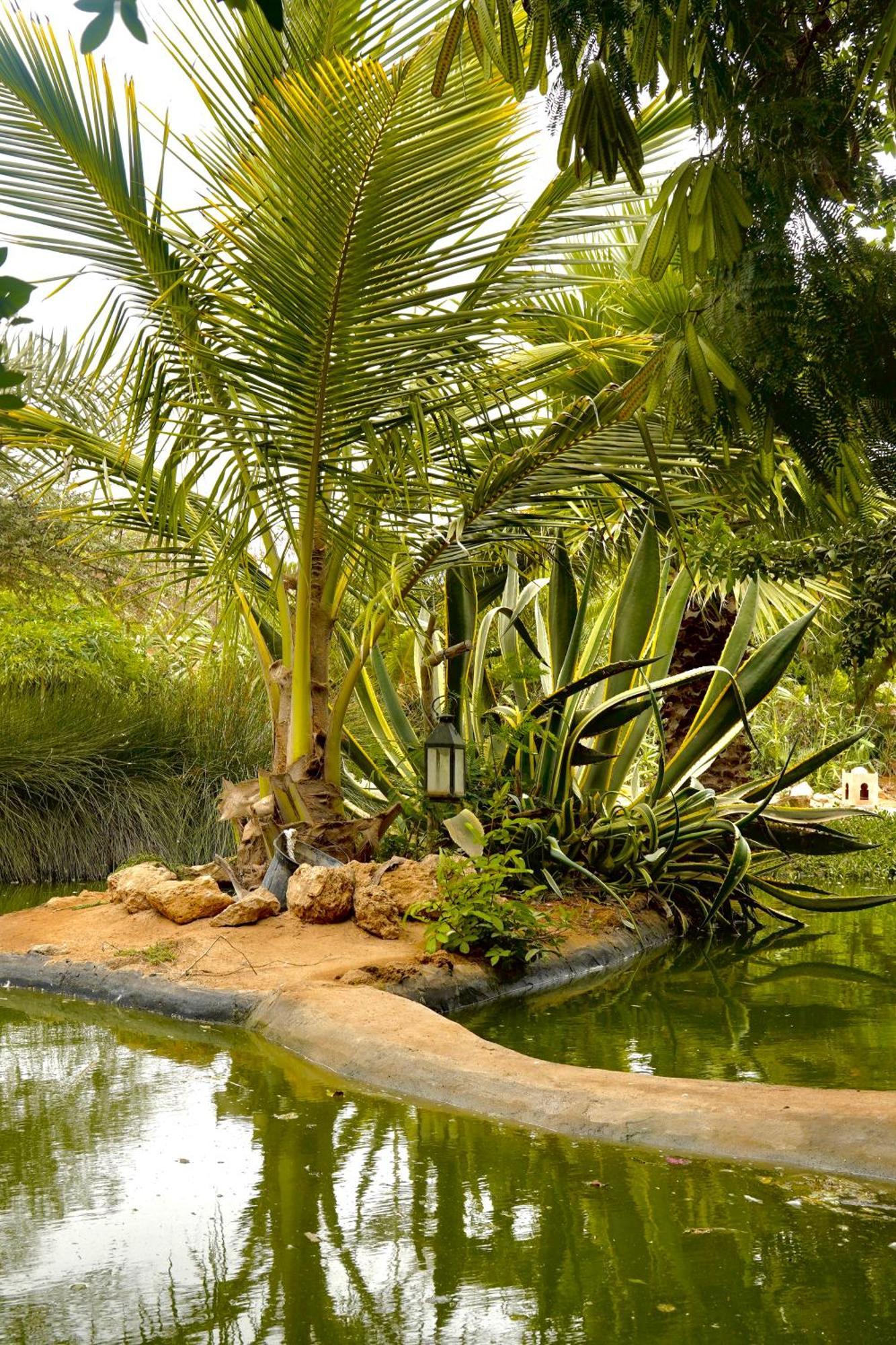 Dar Tawarta Guest House ダフラ エクステリア 写真